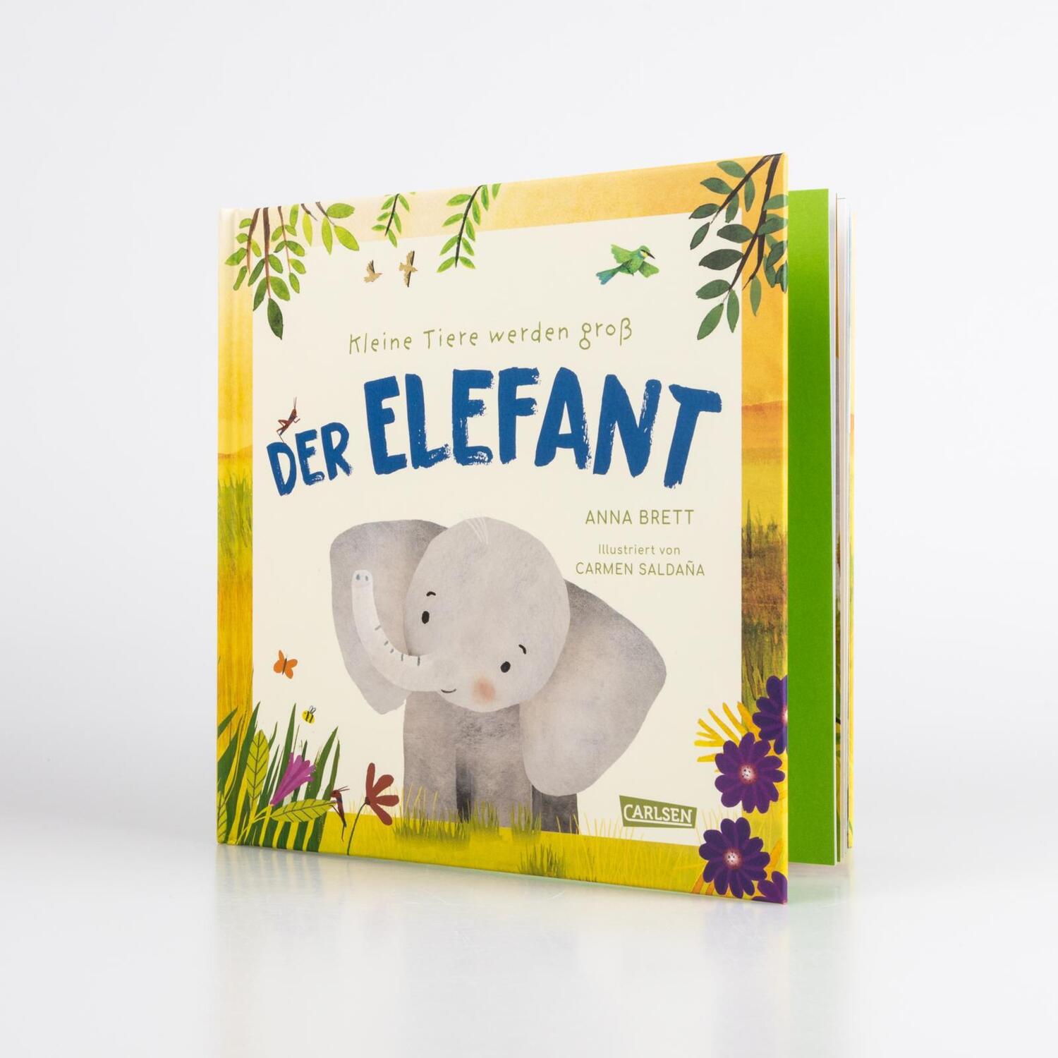 Bild: 9783551254979 | Kleine Tiere werden groß - Der Elefant | Anna Brett | Buch | Deutsch