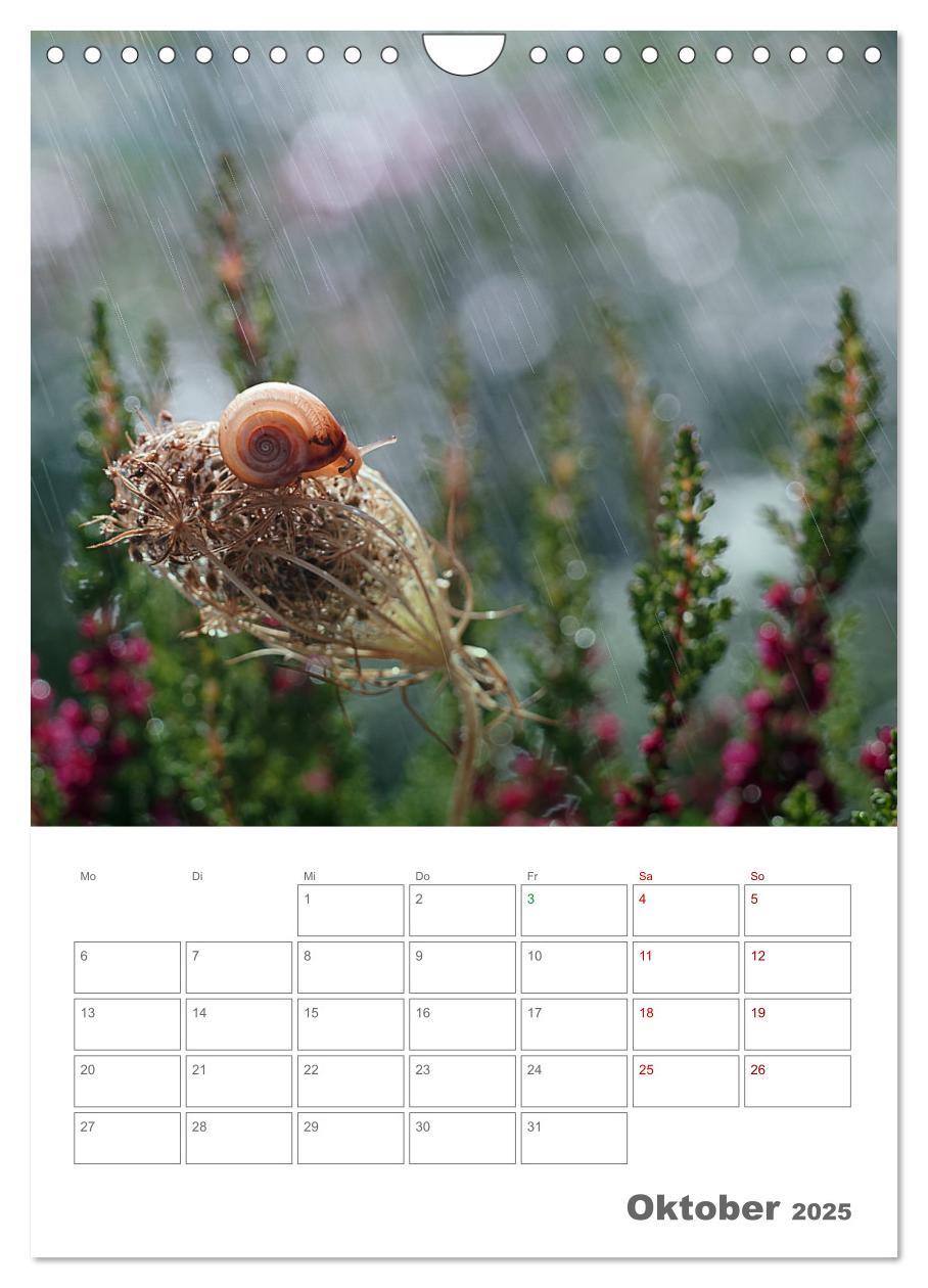 Bild: 9783435917648 | Helden in der Natur (Wandkalender 2025 DIN A4 hoch), CALVENDO...