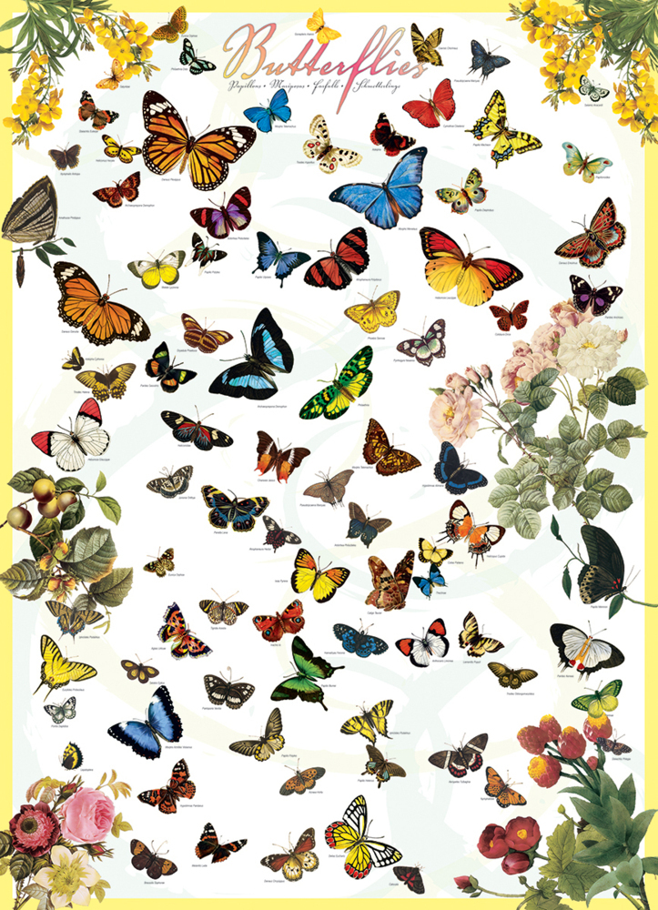 Bild: 628136600774 | Schmetterlinge (Puzzle) | Spiel | In Spielebox | 2021 | Eurographics