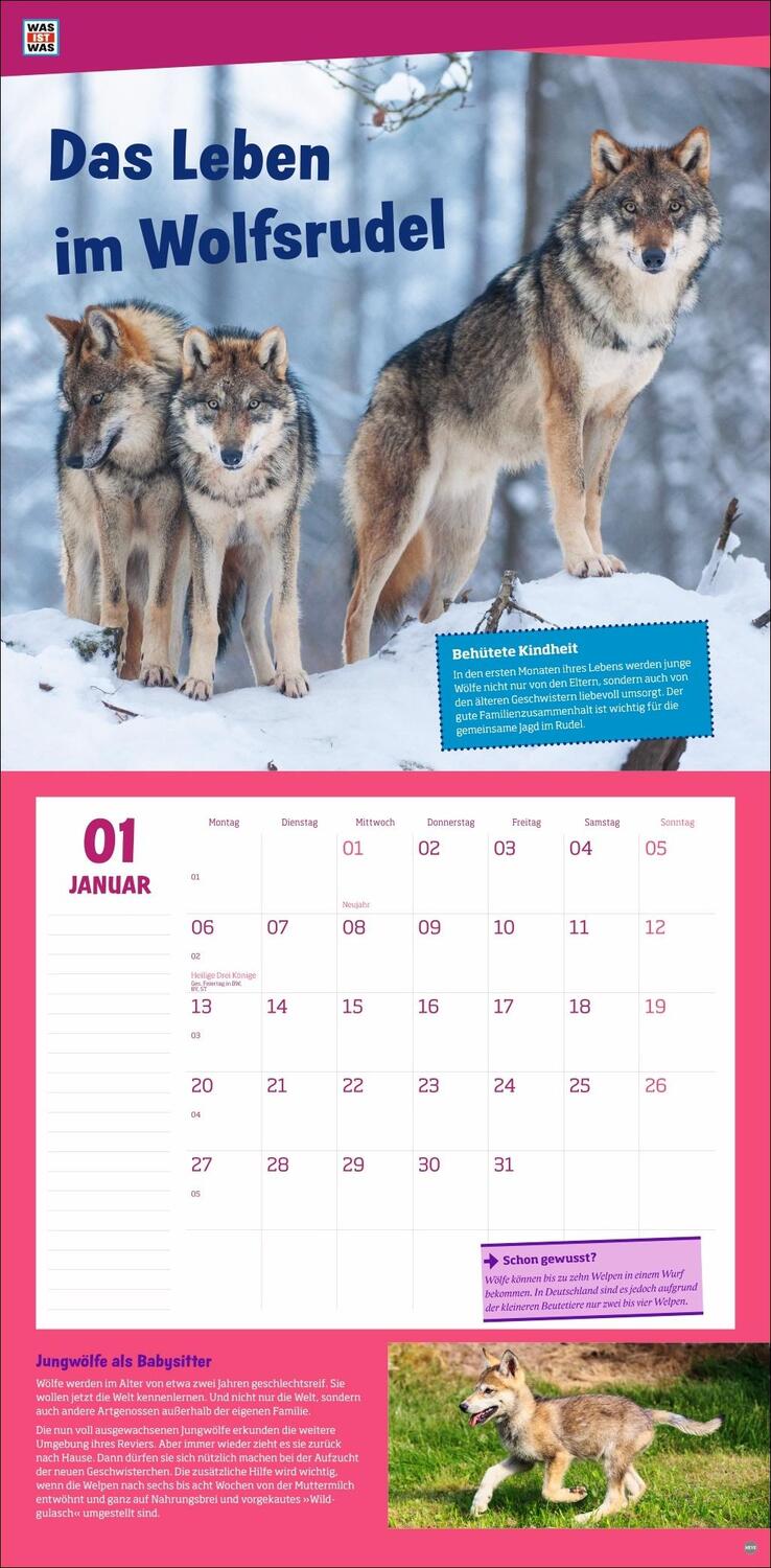 Bild: 9783756405541 | WAS IST WAS Tierwelt Broschurkalender 2025 | Kalender | 28 S. | 2025