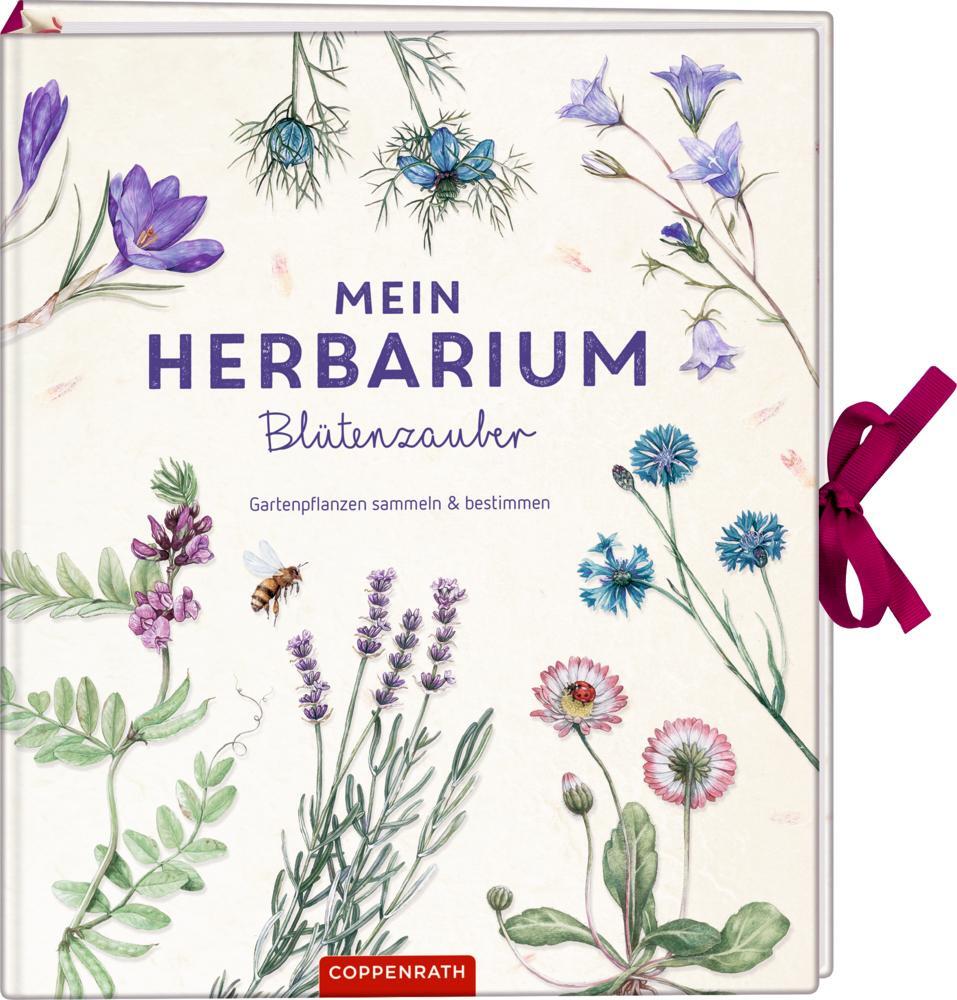 Cover: 9783649630074 | Mein Herbarium: Blütenzauber | Gartenpflanzen sammeln und bestimmen