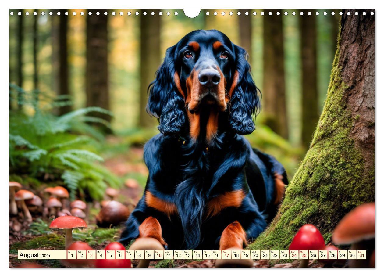 Bild: 9781325979608 | Gordon Setter - elegant powerhouse (Wall Calendar 2025 DIN A3...