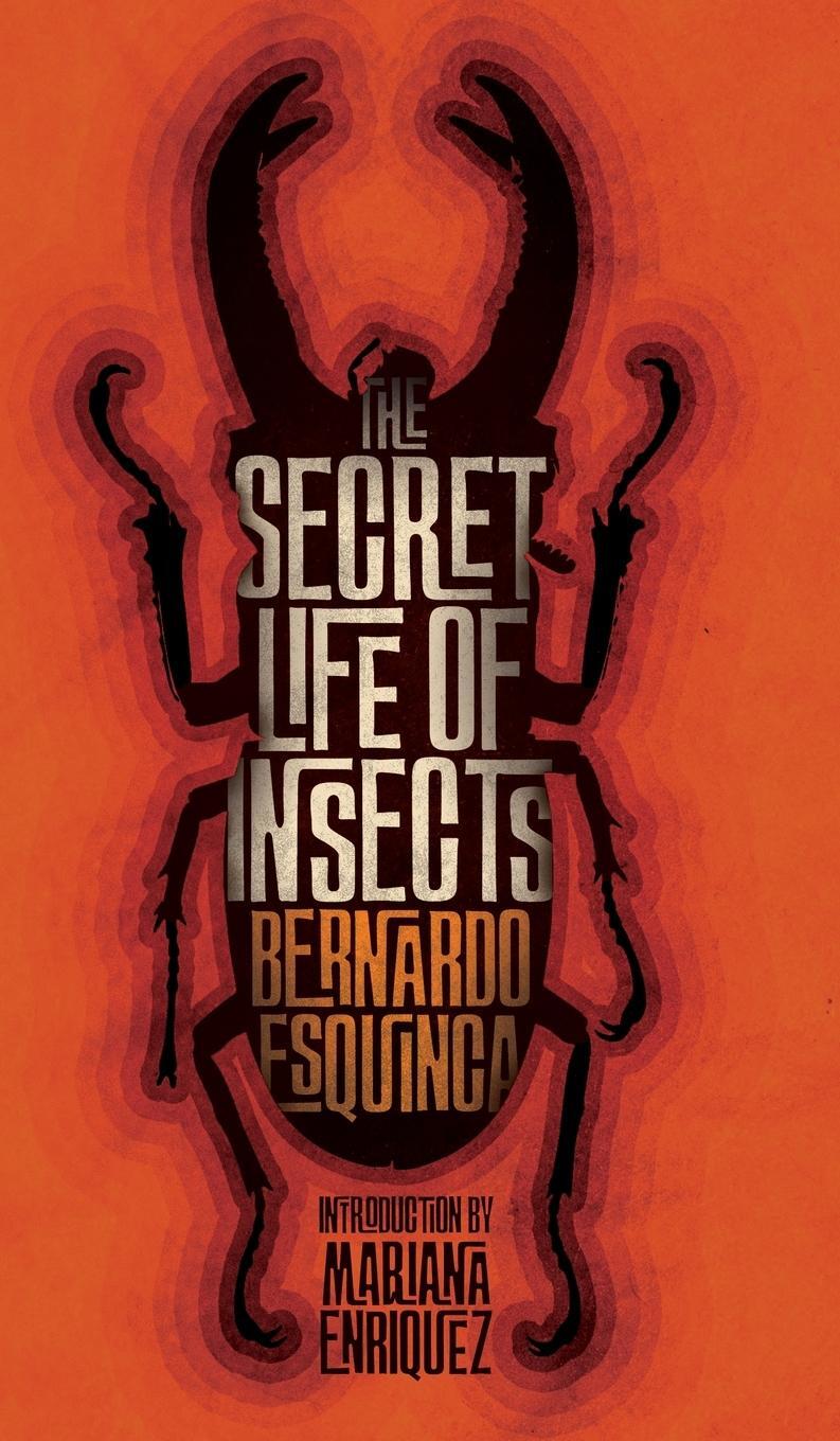 Cover: 9781954321953 | The Secret Life of Insects and Other Stories | Bernardo Esquinca