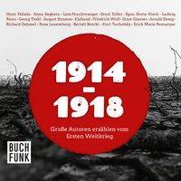 Cover: 9783868471281 | 1914-1918 | Große Autoren erzählen vom Ersten Weltkrieg, 2 CDs | CD