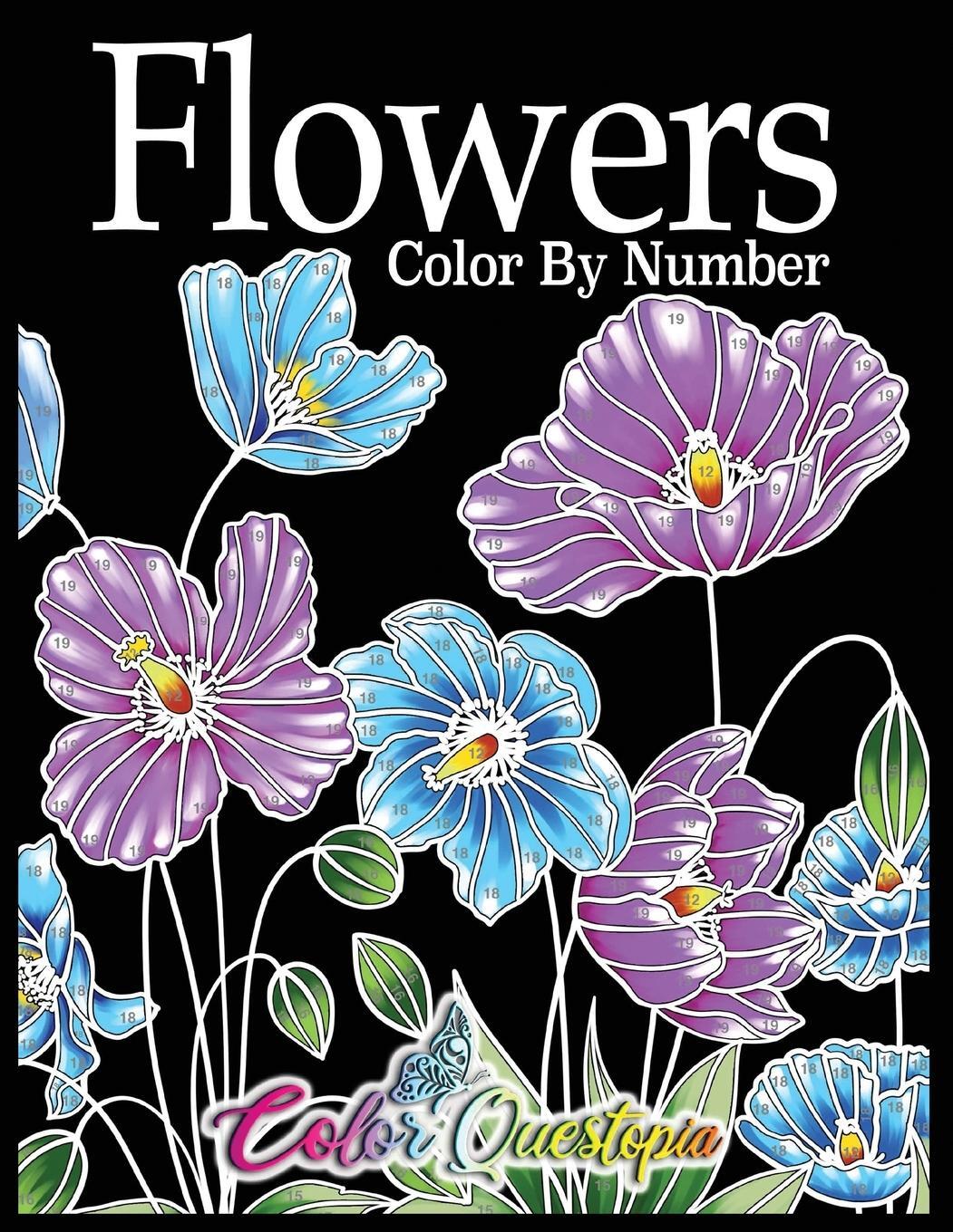 Cover: 9781954883420 | Flowers Color by Number | Color Questopia | Taschenbuch | Paperback