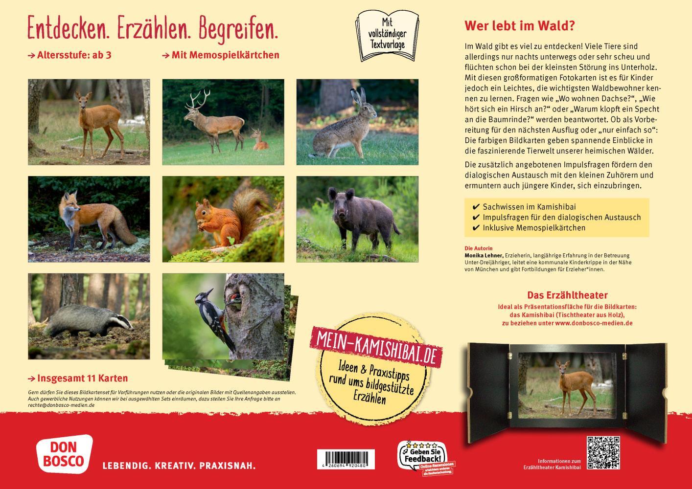 Bild: 4260694920480 | Eule, Fuchs und Hirsch. Tiere im Wald | Monika Lehner | Box | Deutsch
