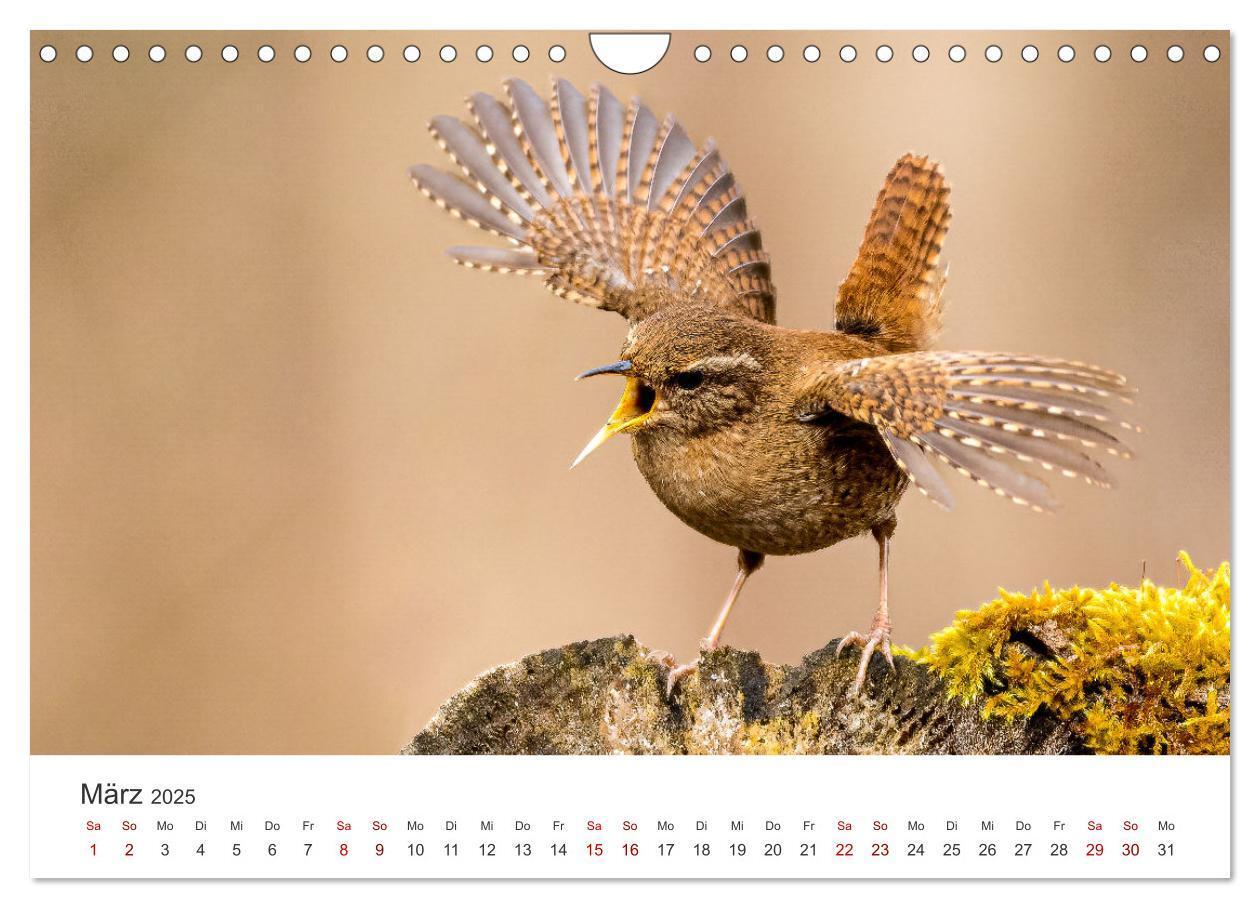 Bild: 9783383812101 | Naturjuwel Haspelmoor (Wandkalender 2025 DIN A4 quer), CALVENDO...