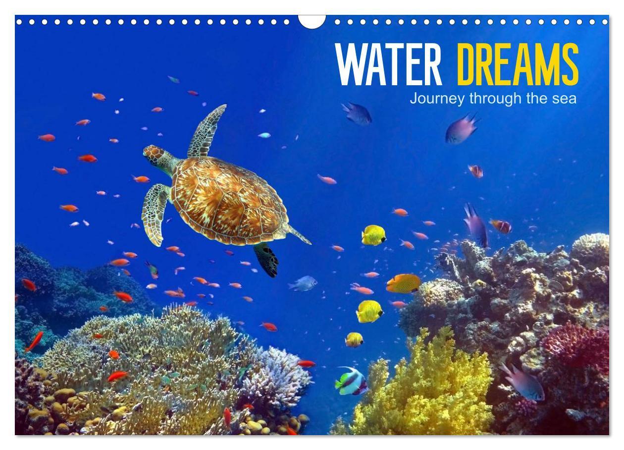 Cover: 9781325892716 | Water Dreams-journey through the sea (Wall Calendar 2024 DIN A3...