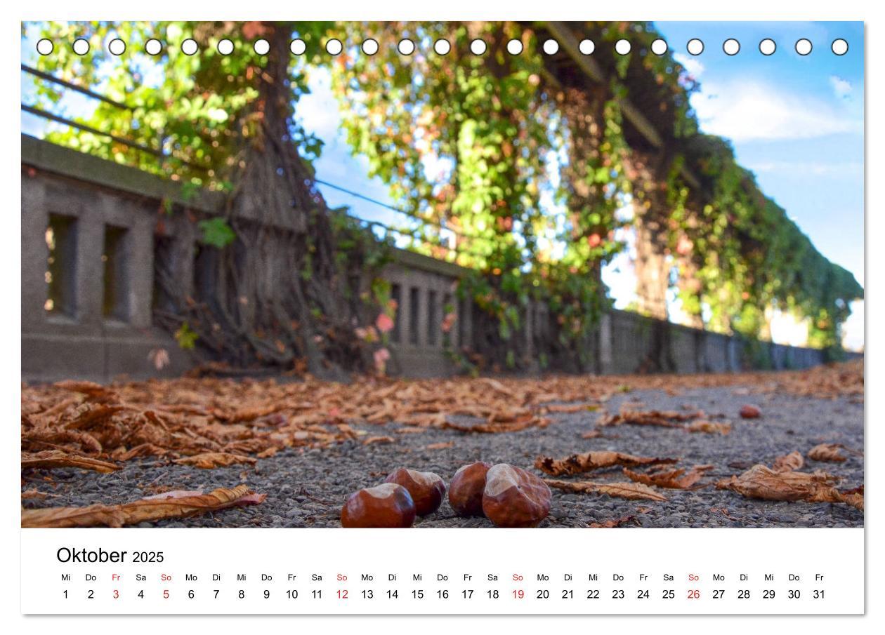 Bild: 9783435289950 | Kassel - Impressionen (Tischkalender 2025 DIN A5 quer), CALVENDO...