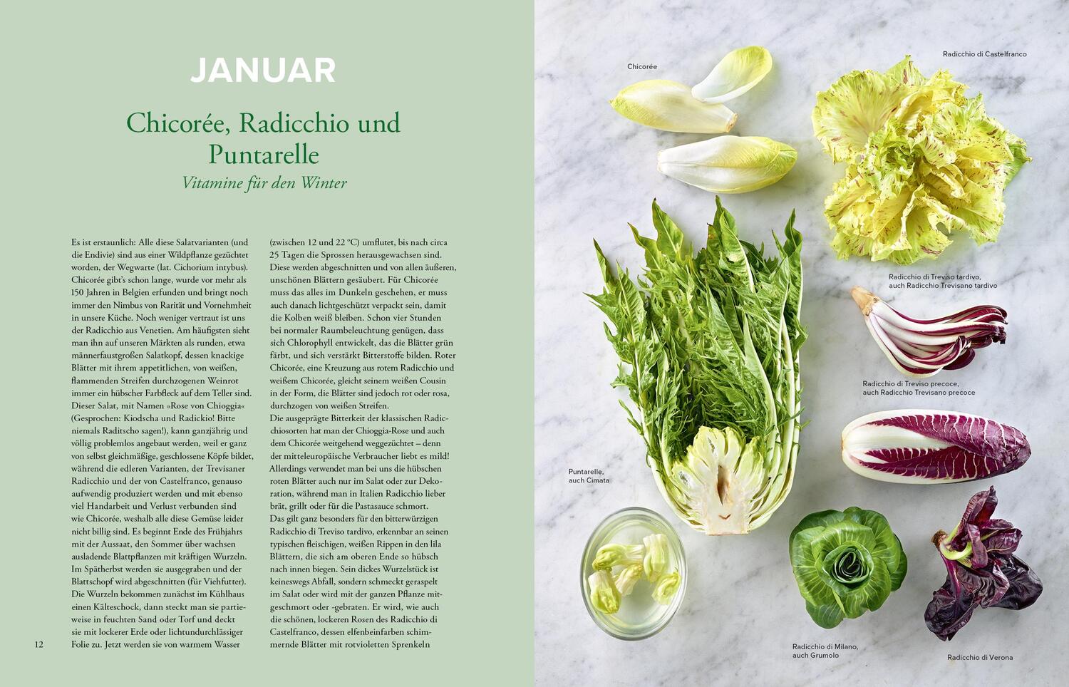 Bild: 9783954531776 | Kochen mit Martina und Moritz - So lieben wir Gemüse | Meuth (u. a.)