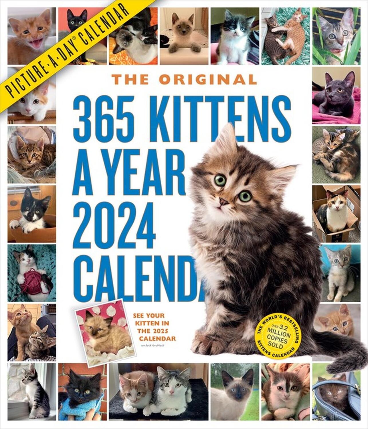 Cover: 9781523519316 | 365 Kittens-A-Year Picture-A-Day Wall Calendar 2024 | Calendars | 2024