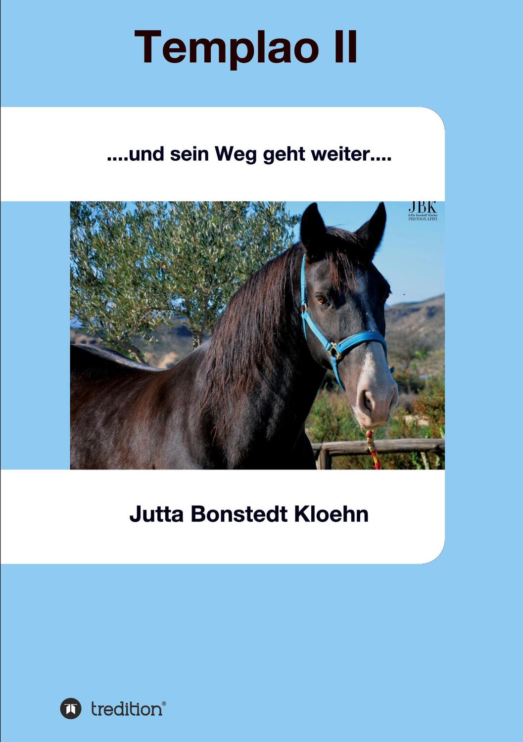 Cover: 9783748241553 | Templao II | und sein Weg geht weiter | Jutta Bonstedt Kloehn | Buch