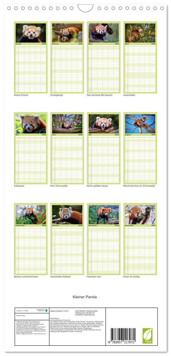 Bild: 9783457117071 | Familienplaner 2025 - Kleiner Panda mit 5 Spalten (Wandkalender, 21...