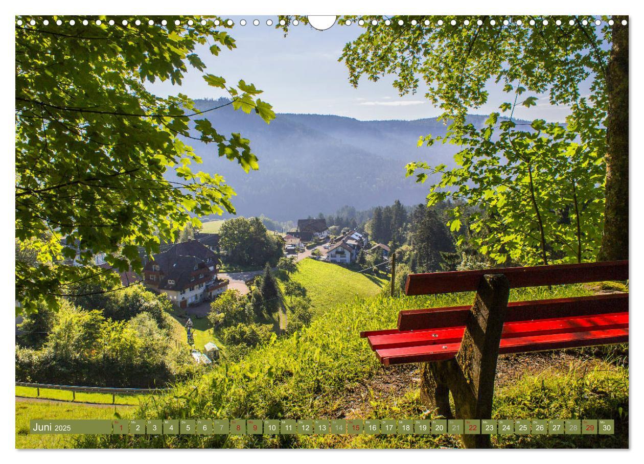 Bild: 9783435376834 | Die Jahreszeiten im Nordschwarzwald (Wandkalender 2025 DIN A3...