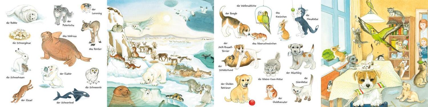 Bild: 9783551173034 | Mein kleines buntes Bildwörterbuch: Viele Tierkinder | Henkel | Buch