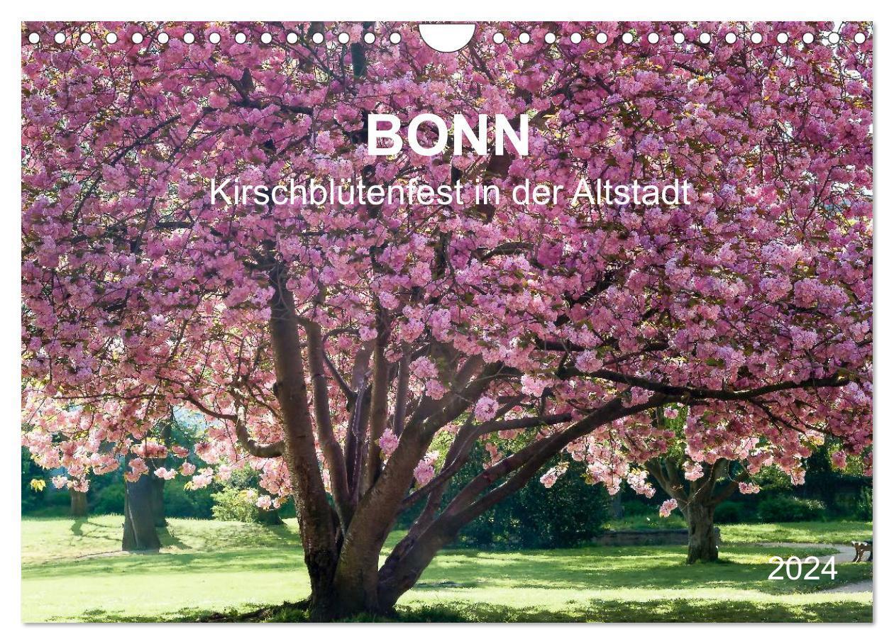 Cover: 9783383400070 | Bonn - Kirschblütenfest in der Altstadt (Wandkalender 2024 DIN A4...
