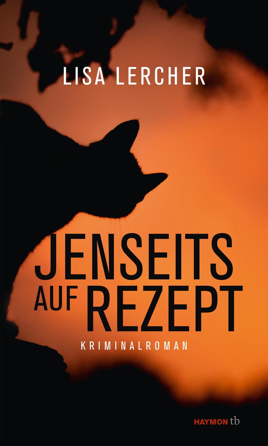 Cover: 9783709978986 | Jenseits auf Rezept | Kriminalroman, HAYMON TASCHENBUCH 252 | Lercher
