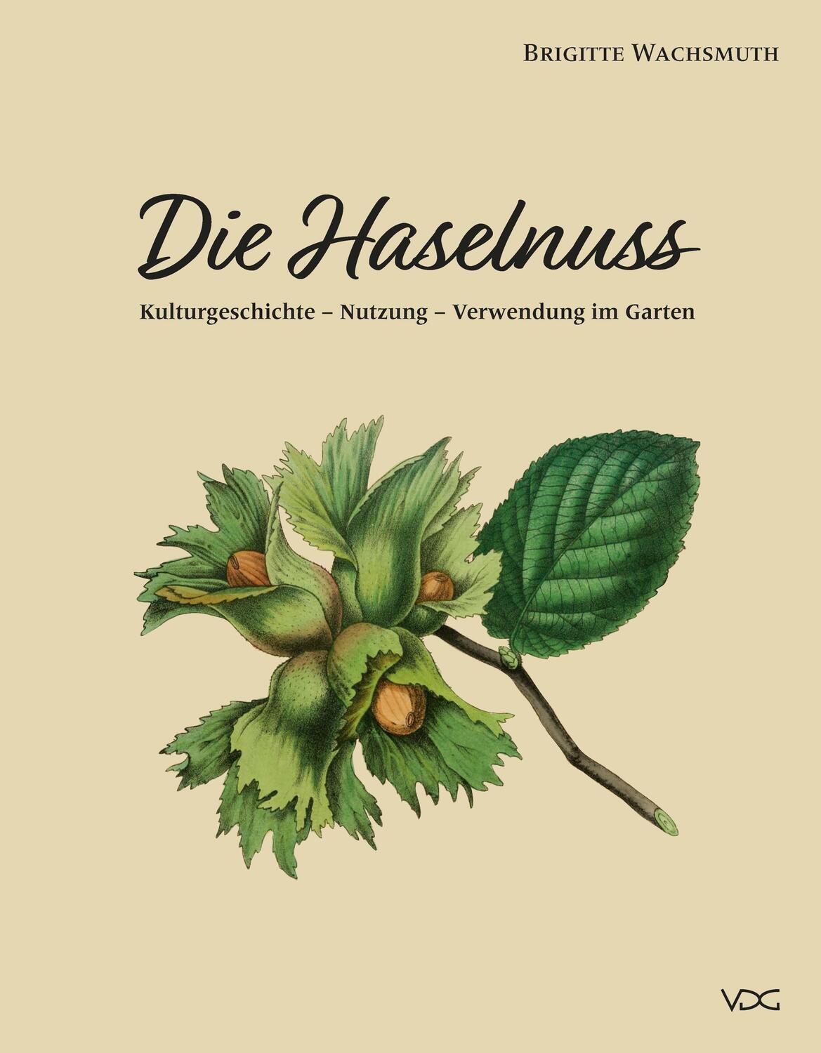 Cover: 9783897399518 | Die Haselnuss | Kulturgeschichte - Nutzung - Verwendung im Garten