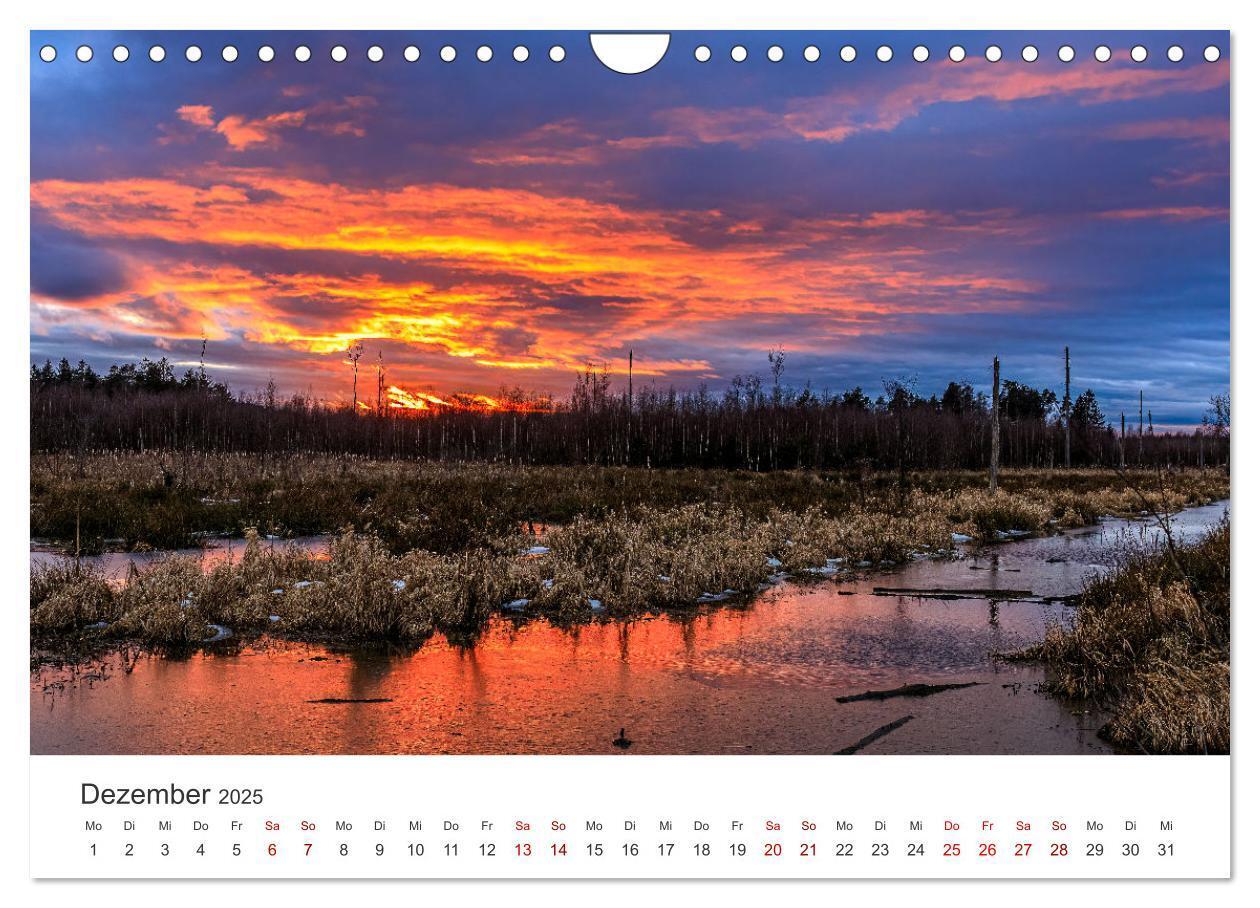 Bild: 9783383812101 | Naturjuwel Haspelmoor (Wandkalender 2025 DIN A4 quer), CALVENDO...