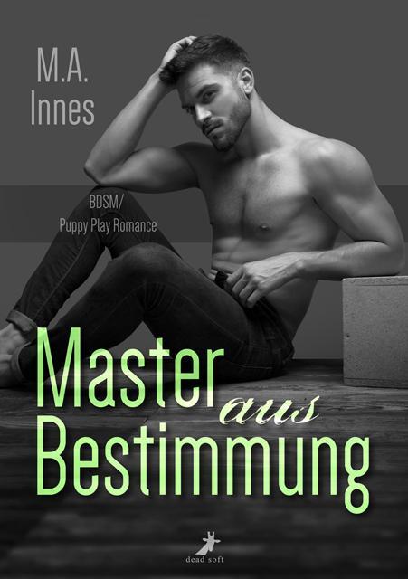 Cover: 9783960896845 | Master aus Bestimmung | The Accidental Master 3 | M. A. Innes | Buch