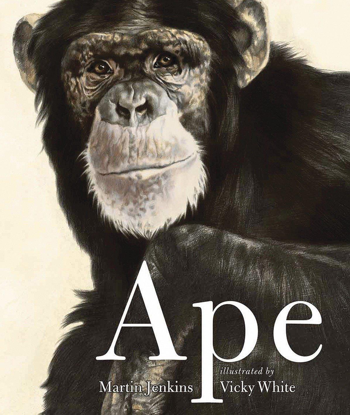Cover: 9780763649746 | Ape | Martin Jenkins | Taschenbuch | Englisch | 2010