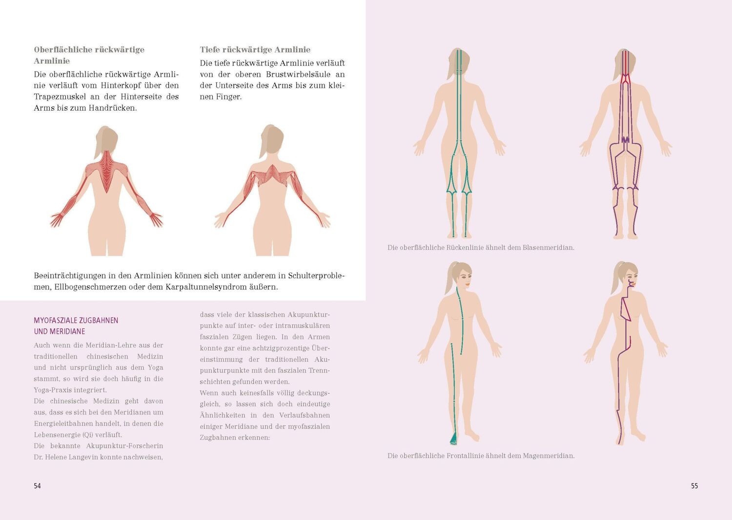 Bild: 9783424153163 | Das große Faszien-Yoga Buch | Daniela Meinl | Buch | 288 S. | Deutsch