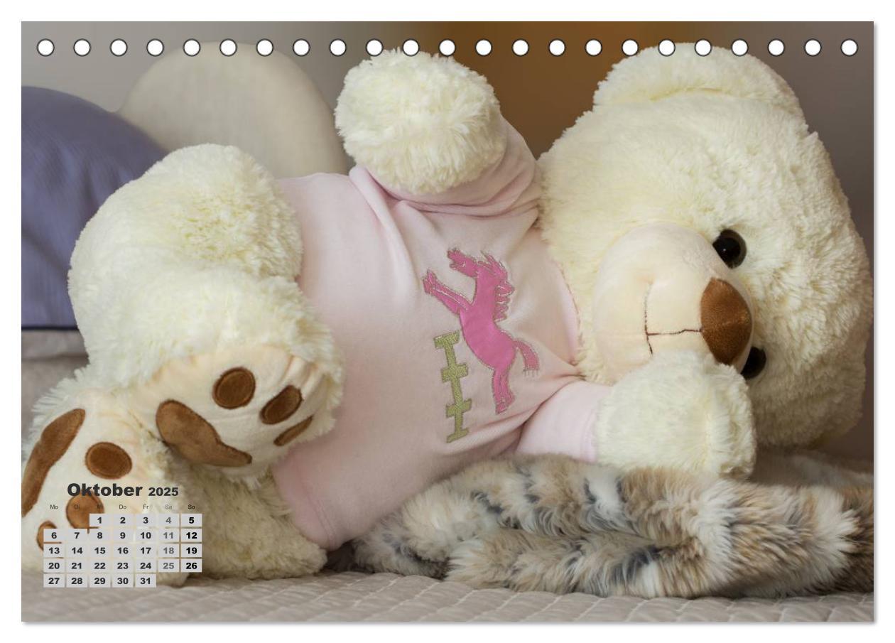 Bild: 9783435501601 | Teddys, wollen wir Kalender anschauen? (Tischkalender 2025 DIN A5...