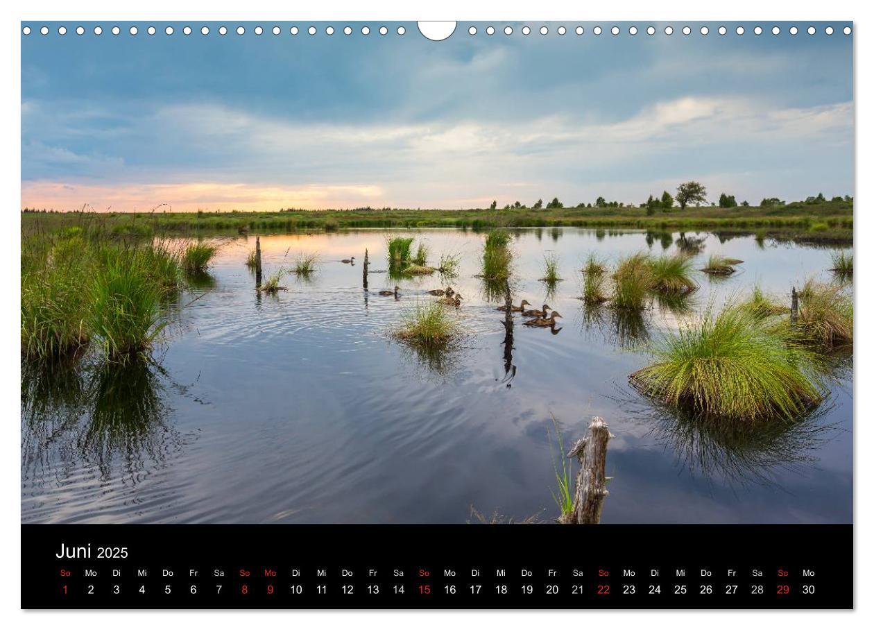 Bild: 9783435557707 | HOHES VENN - Einblicke in ein Hochmoor (Wandkalender 2025 DIN A3...