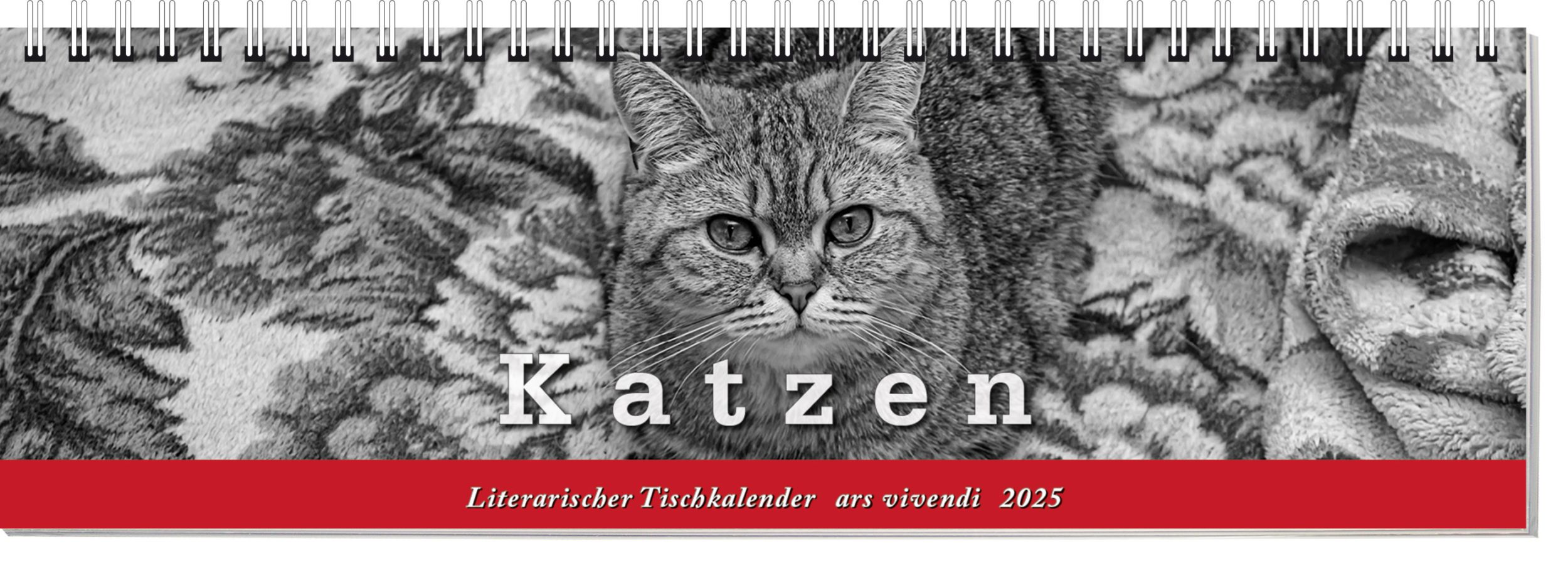 Cover: 9783747205716 | Tischkalender Katzen 2025 | Tischkalender | Kalender | 53 S. | Deutsch