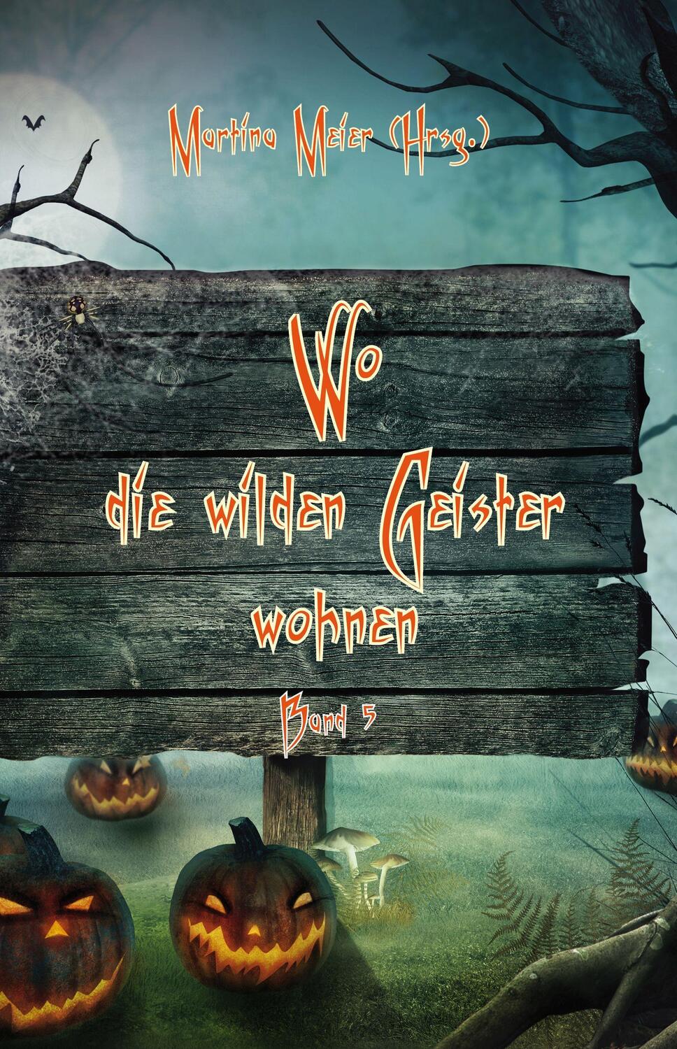 Cover: 9783990510803 | Wo die wilden Geister wohnen | Martina Meier | Taschenbuch | 260 S.