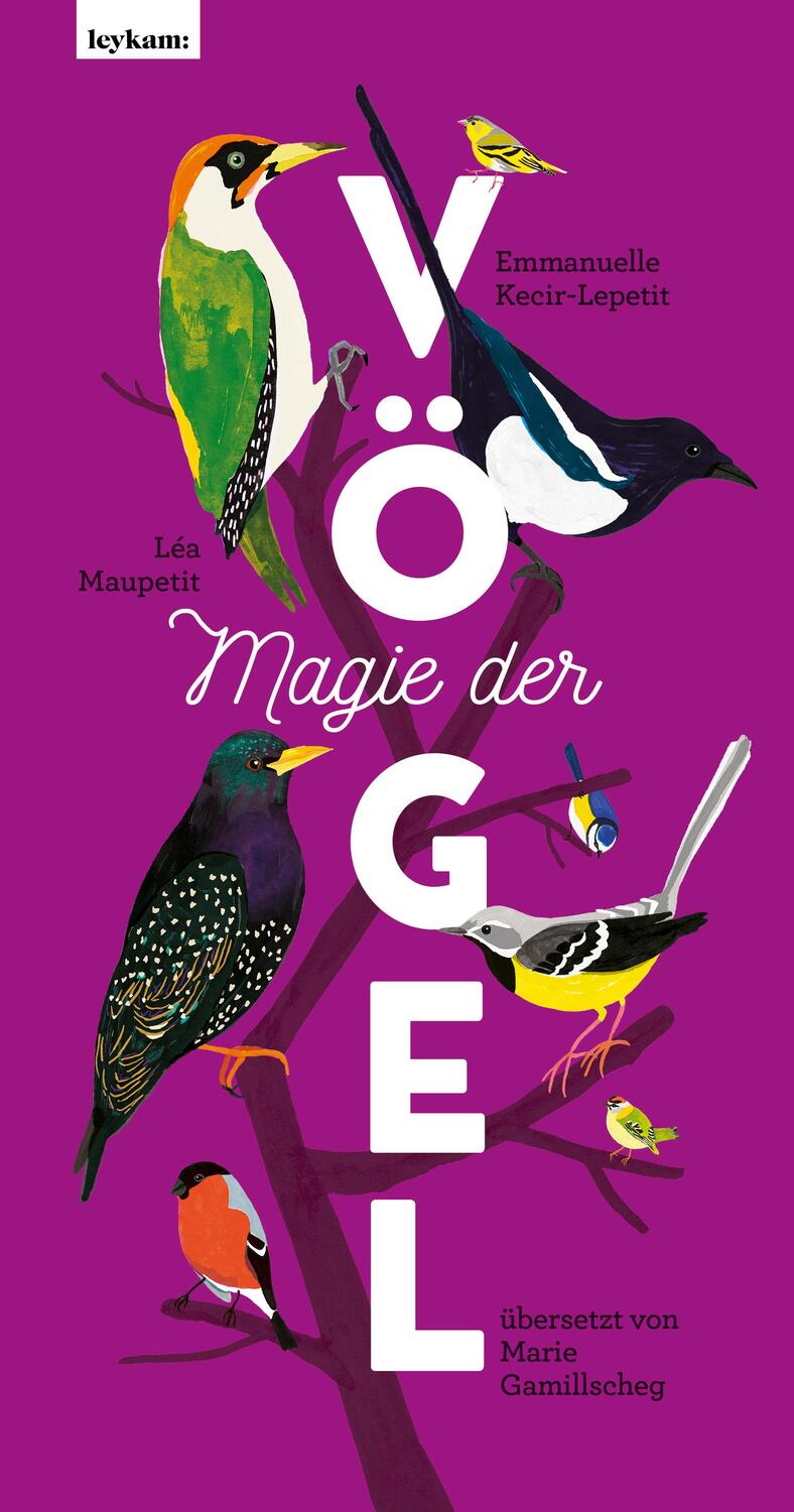 Cover: 9783701182992 | Magie der Vögel | Emmanuelle Kecir-Lepetit | Buch | 96 S. | Deutsch