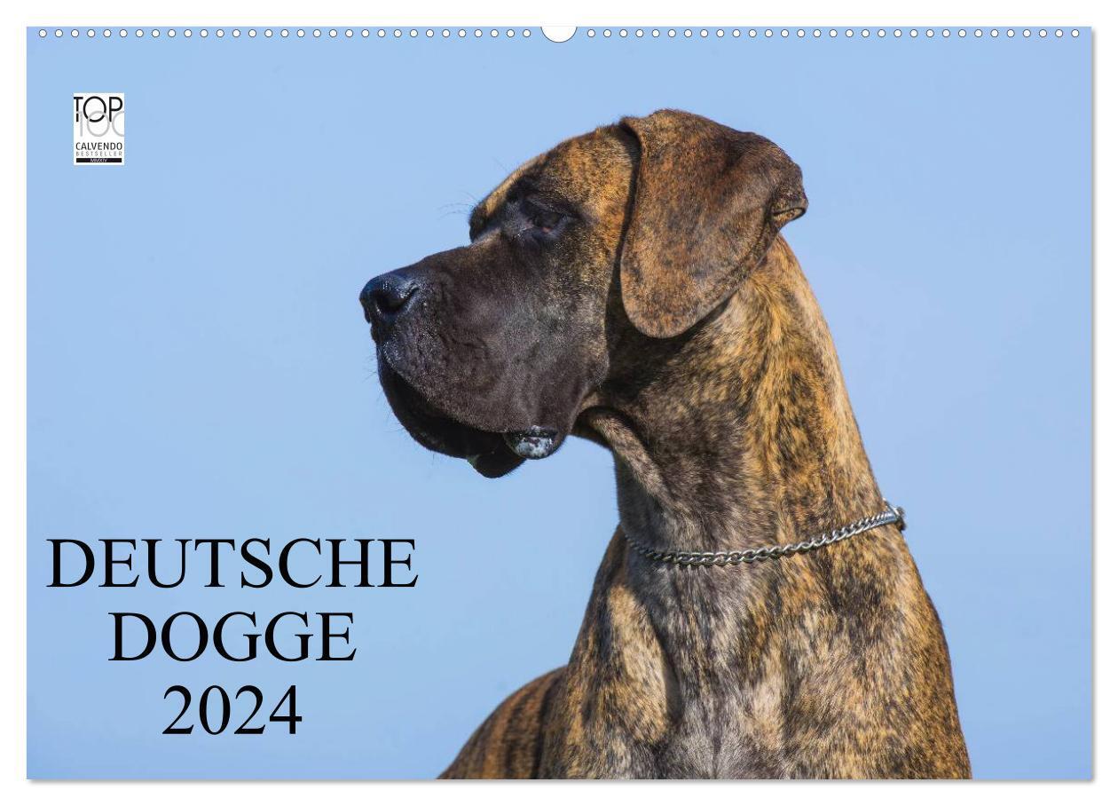 Cover: 9783675904736 | Deutsche Dogge 2024 (Wandkalender 2024 DIN A2 quer), CALVENDO...
