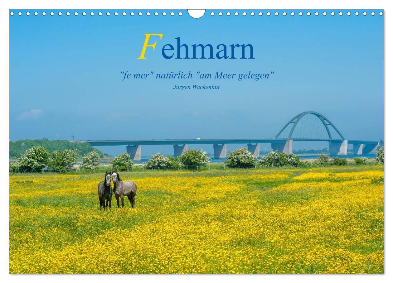 Cover: 9783383508318 | Fehmarn - "fe mer" natürlich "am Meer gelegen" (Wandkalender 2024...