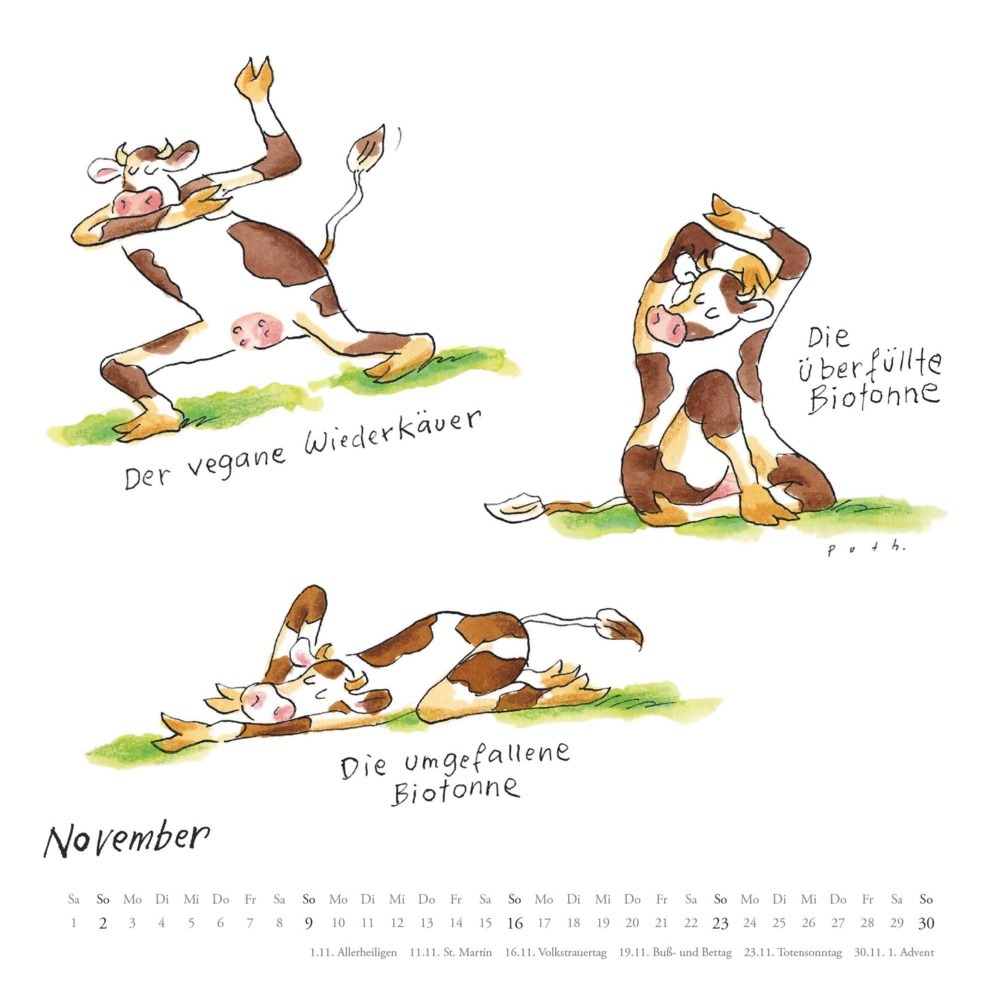 Bild: 4250809653037 | DUMONT - Mit den Yoga-Kühen durchs Jahr 2025 Wandkalender, 23x23cm,...