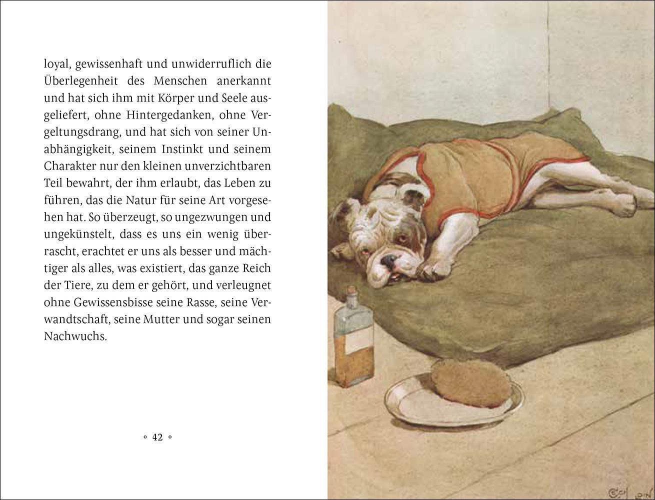 Bild: 9783458205272 | Mein Hund | Maurice Maeterlinck | Buch | Insel-Bücherei | 45 S. | 2020