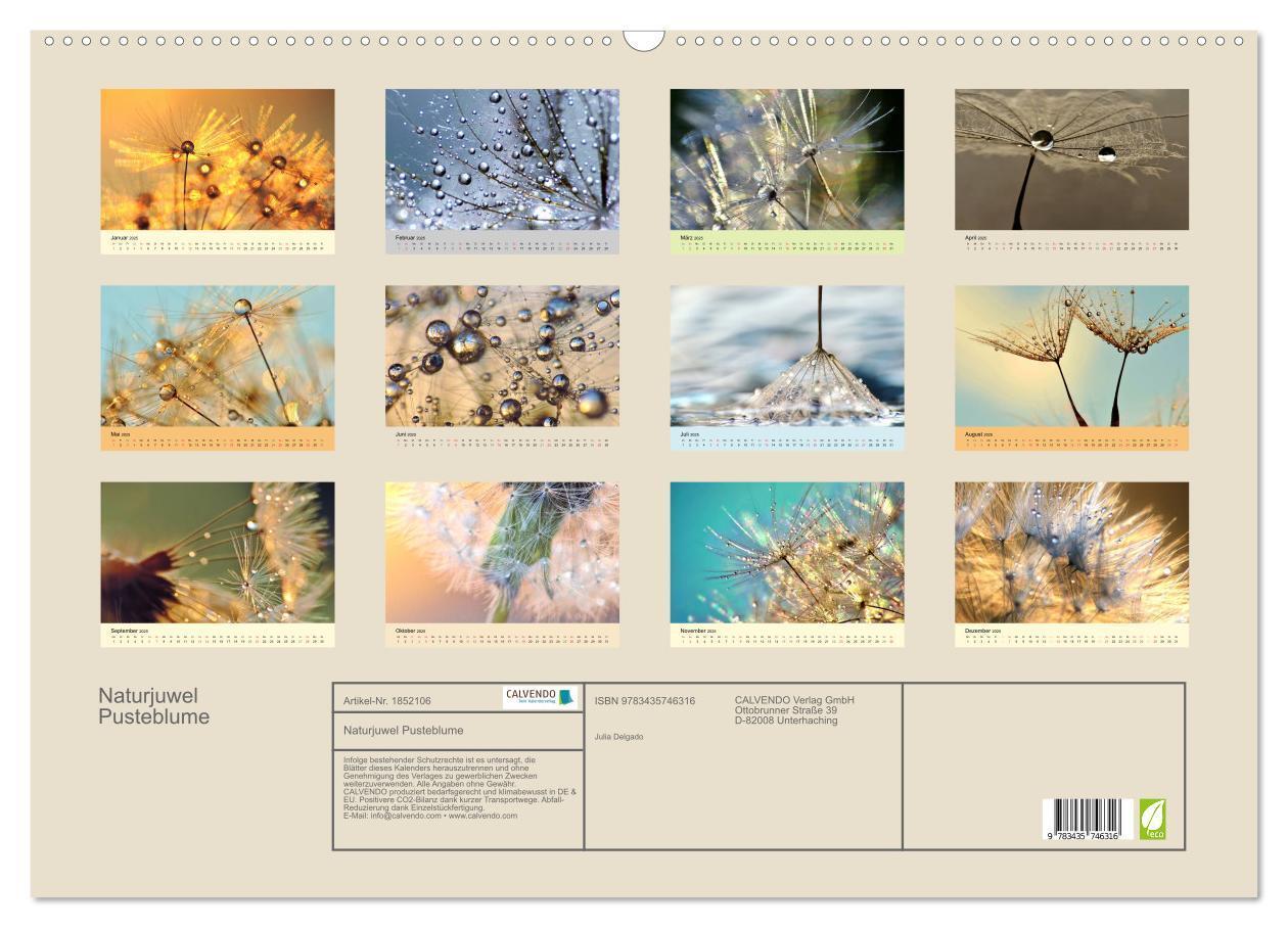 Bild: 9783435746316 | Naturjuwel Pusteblume (Wandkalender 2025 DIN A2 quer), CALVENDO...