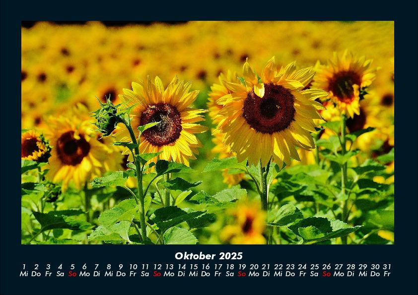 Bild: 9783755989172 | Blumenkalender 2025 Fotokalender DIN A4 | Tobias Becker | Kalender