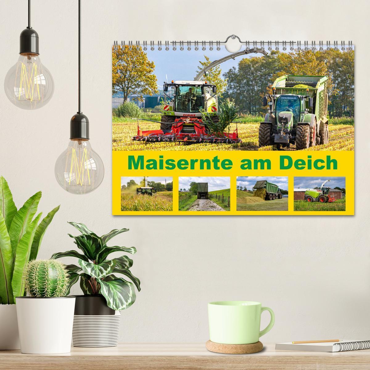 Bild: 9783435190997 | Maisernte am Deich (Wandkalender 2025 DIN A4 quer), CALVENDO...