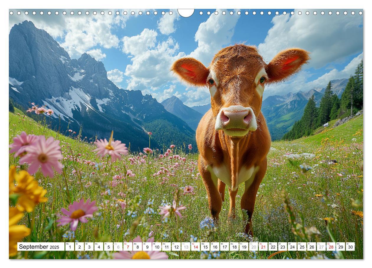 Bild: 9783457210291 | KÜHE AUF DER ALM ¿ Der Kalender aus Bayern (Wandkalender 2025 DIN...