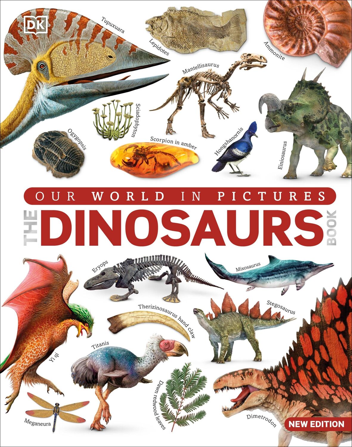 Cover: 9780241601655 | The Dinosaur Book | Our World in Pictures | Dk | Buch | Gebunden