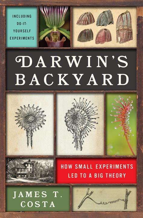 Cover: 9780393239898 | Darwin's Backyard | How Small Experiments Led to a Big Theory | Costa