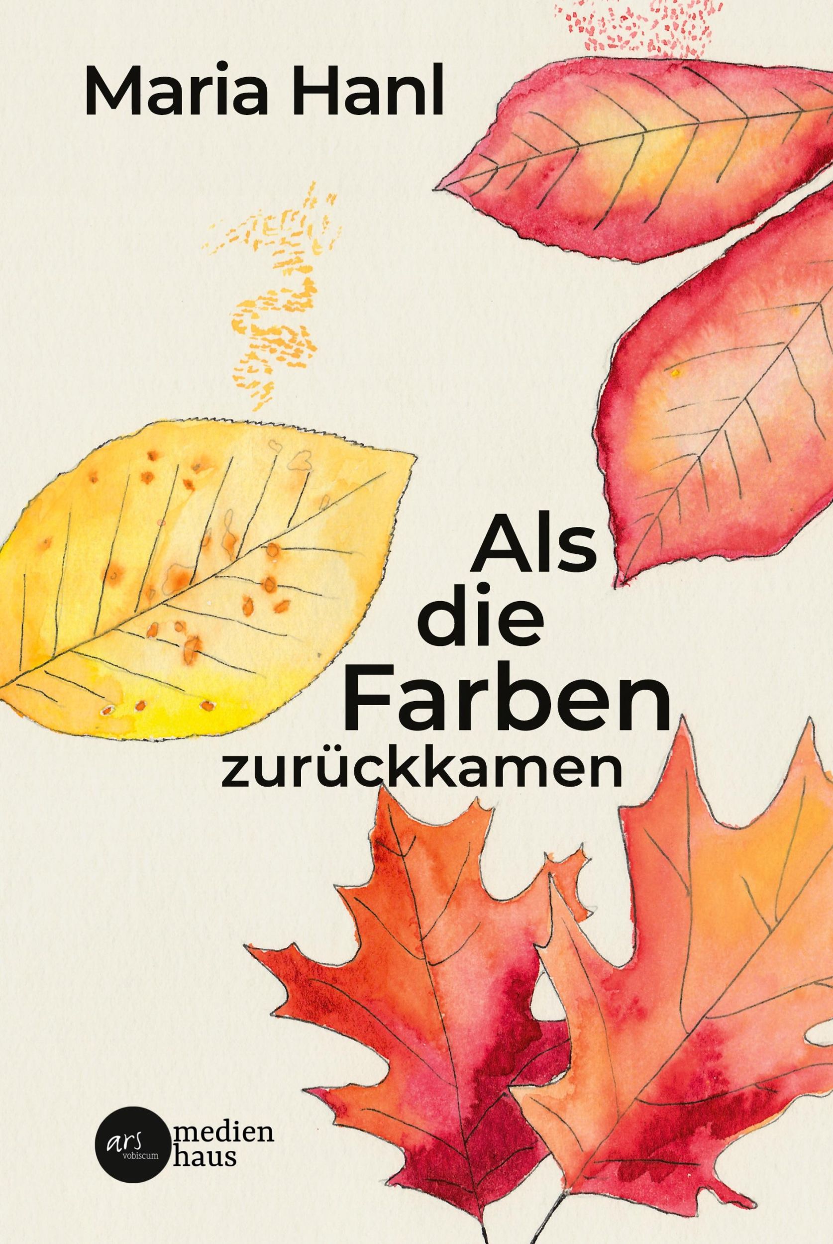 Cover: 9783903479135 | Als die Farben zurückkamen | Maria Hanl | Buch | 48 S. | Deutsch