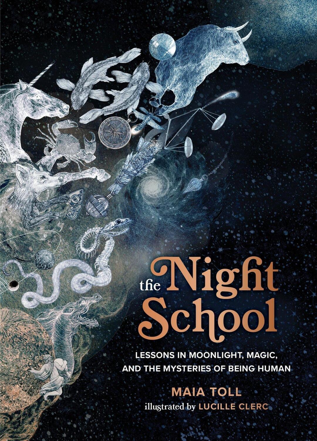 Cover: 9780762474295 | The Night School | Maia Toll | Buch | Gebunden | Englisch | 2022