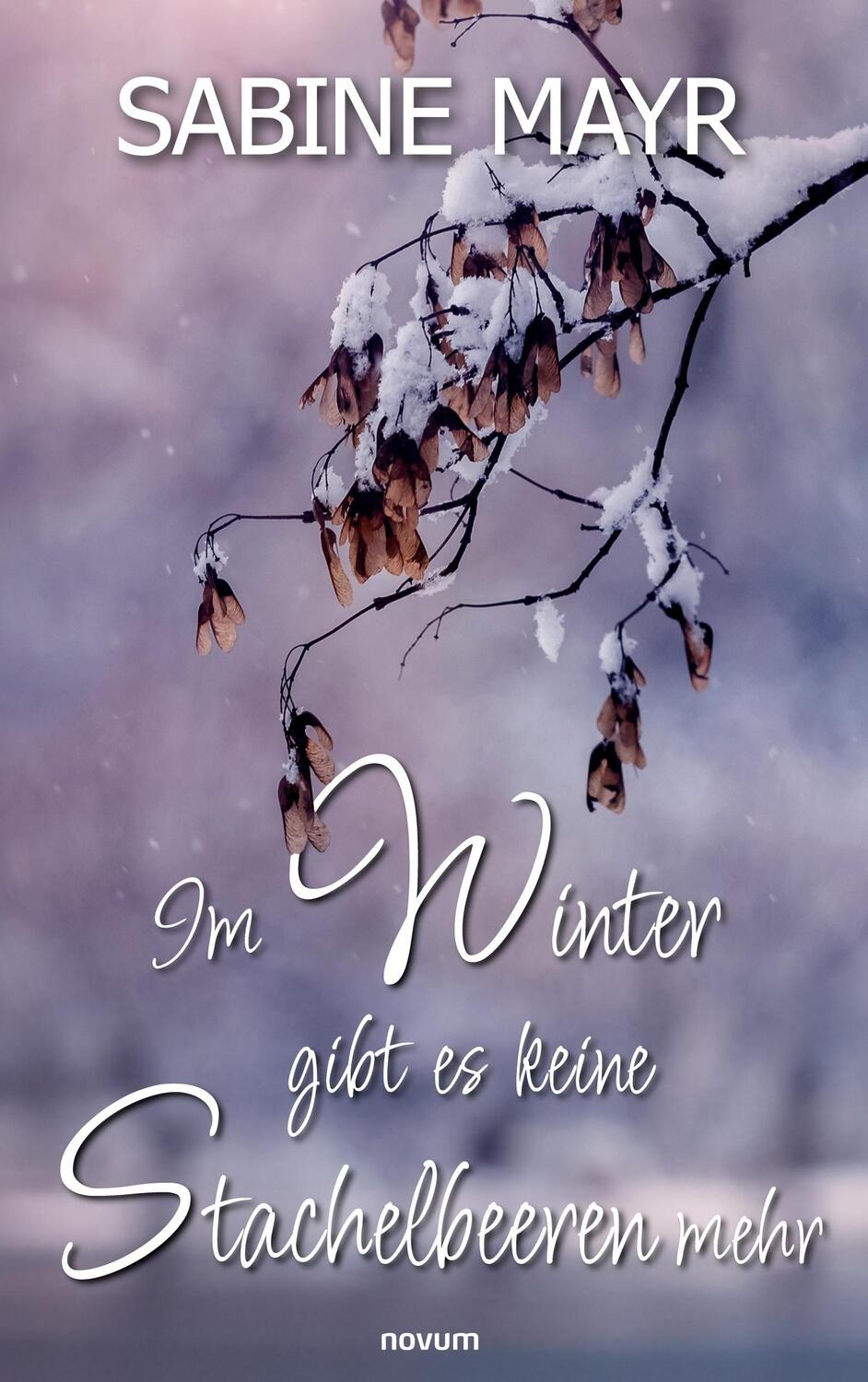 Cover: 9783991303664 | Im Winter gibt es keine Stachelbeeren mehr | Sabine Mayr | Taschenbuch