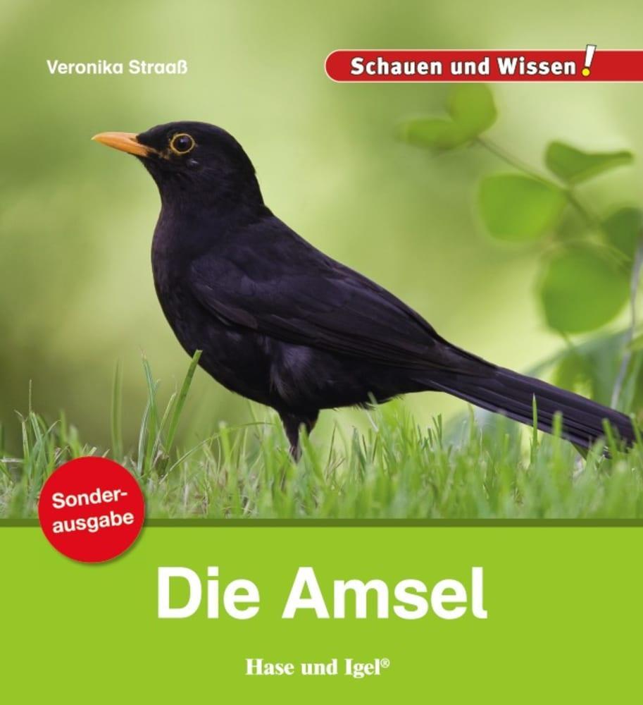 Cover: 9783863163549 | Die Amsel / Sonderausgabe | Schauen und Wissen! | Veronika Straaß