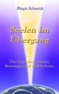 Cover: 9783842349100 | Seelen im Übergang | Birgit Schmidt | Taschenbuch | Paperback