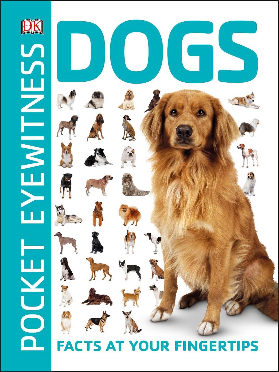 Cover: 9780241343609 | Pocket Eyewitness Dogs | Facts at Your Fingertips | DK | Taschenbuch