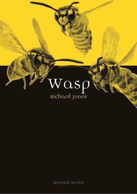 Cover: 9781789141610 | Wasp | Richard Jones | Taschenbuch | Animal | Kartoniert / Broschiert