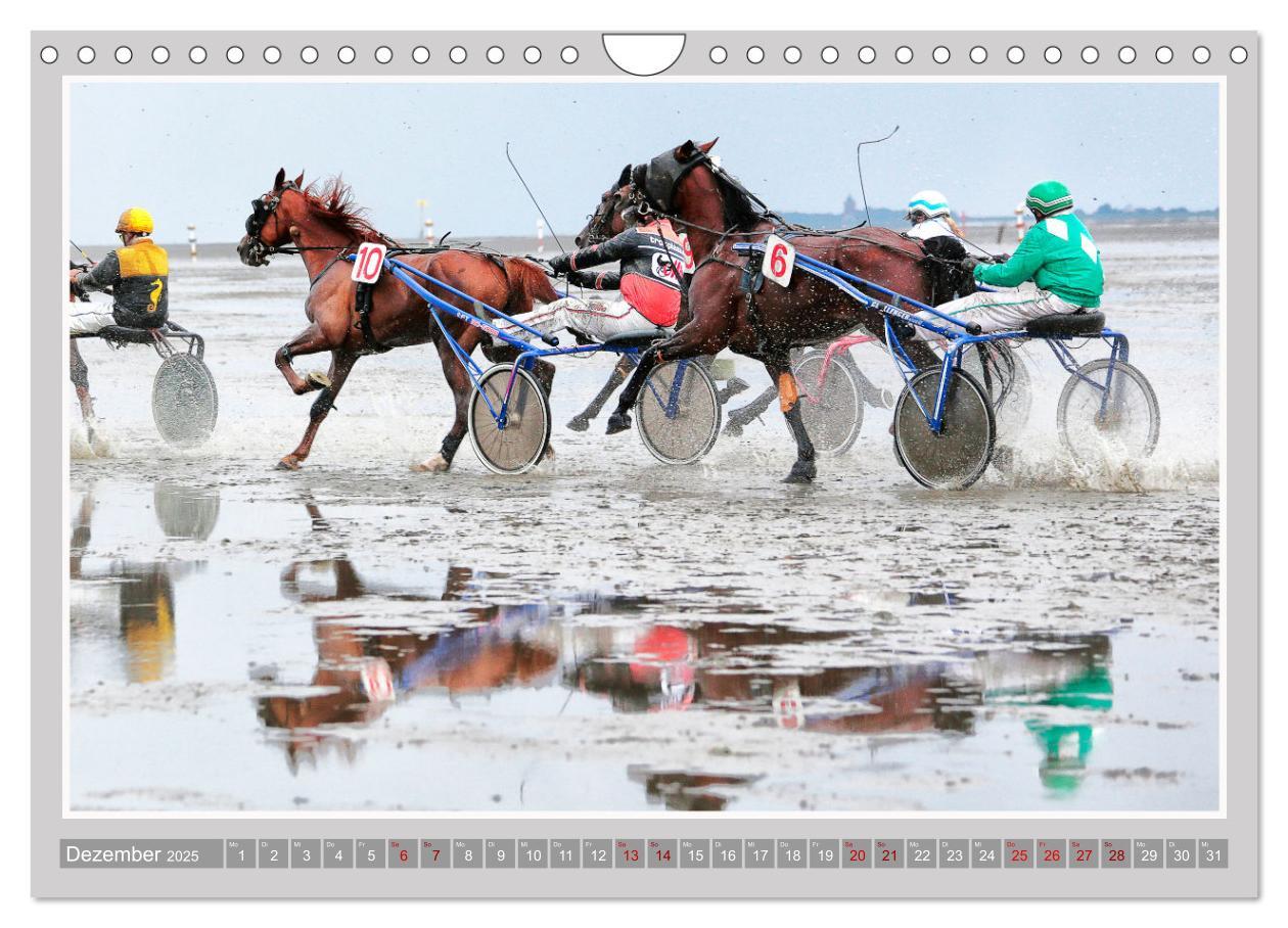 Bild: 9783435058884 | Pferde-Rennen auf Schnee und im Wasser (Wandkalender 2025 DIN A4...