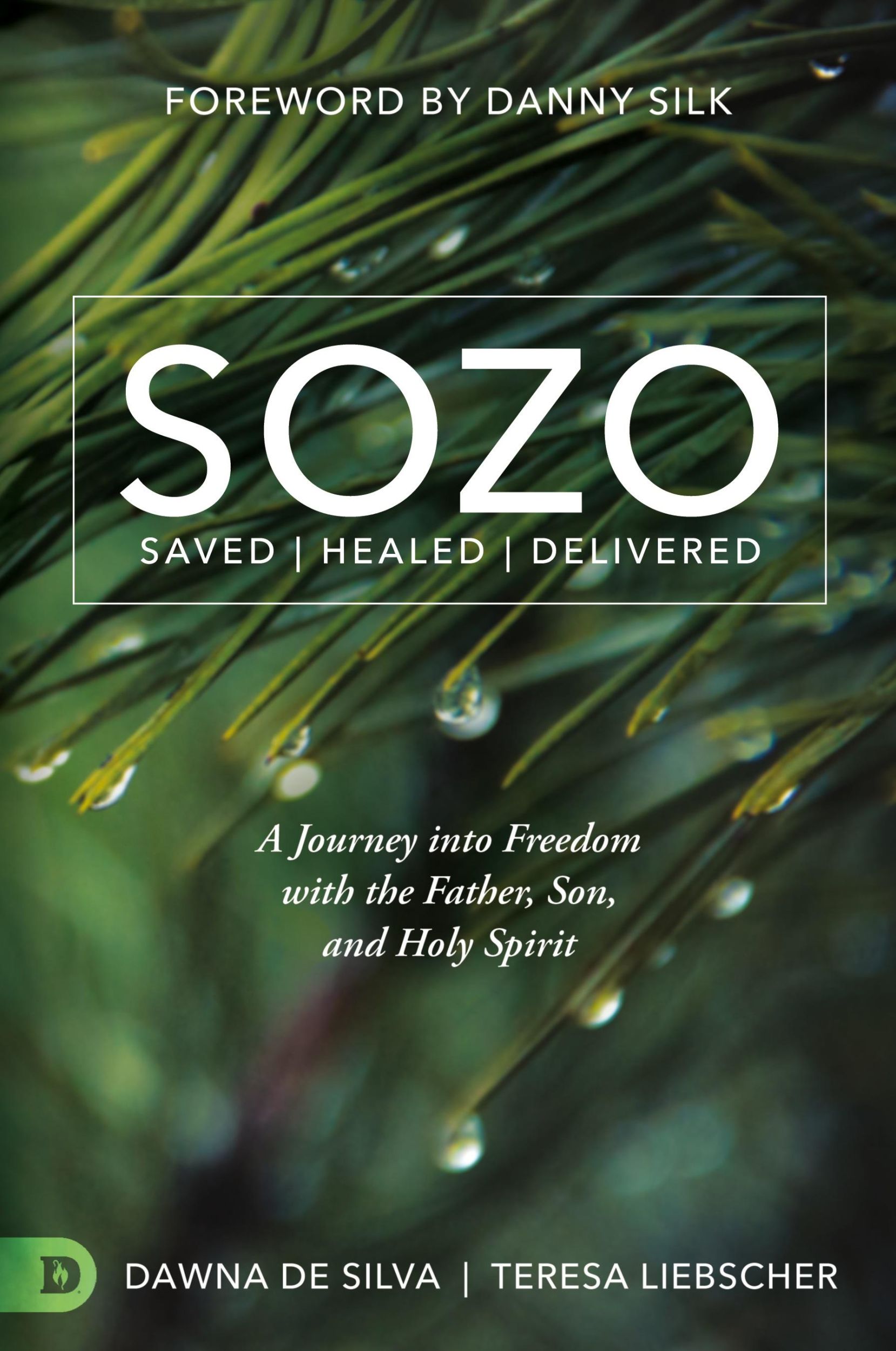 Cover: 9780768409154 | SOZO Saved Healed Delivered | Teresa Liebscher (u. a.) | Taschenbuch